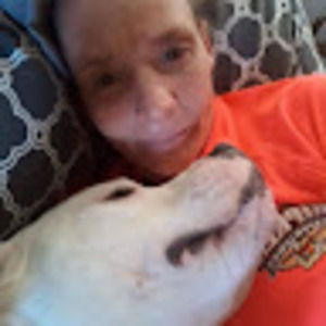 Meet your Posher, Ernie